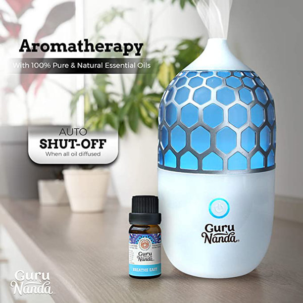 GuruNanda Diffuser Wayfair